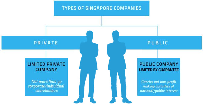 Types of Singapore Companies