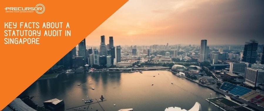 Key facts about a Statutory Audit in Singapore | Precursor Assurance PAC