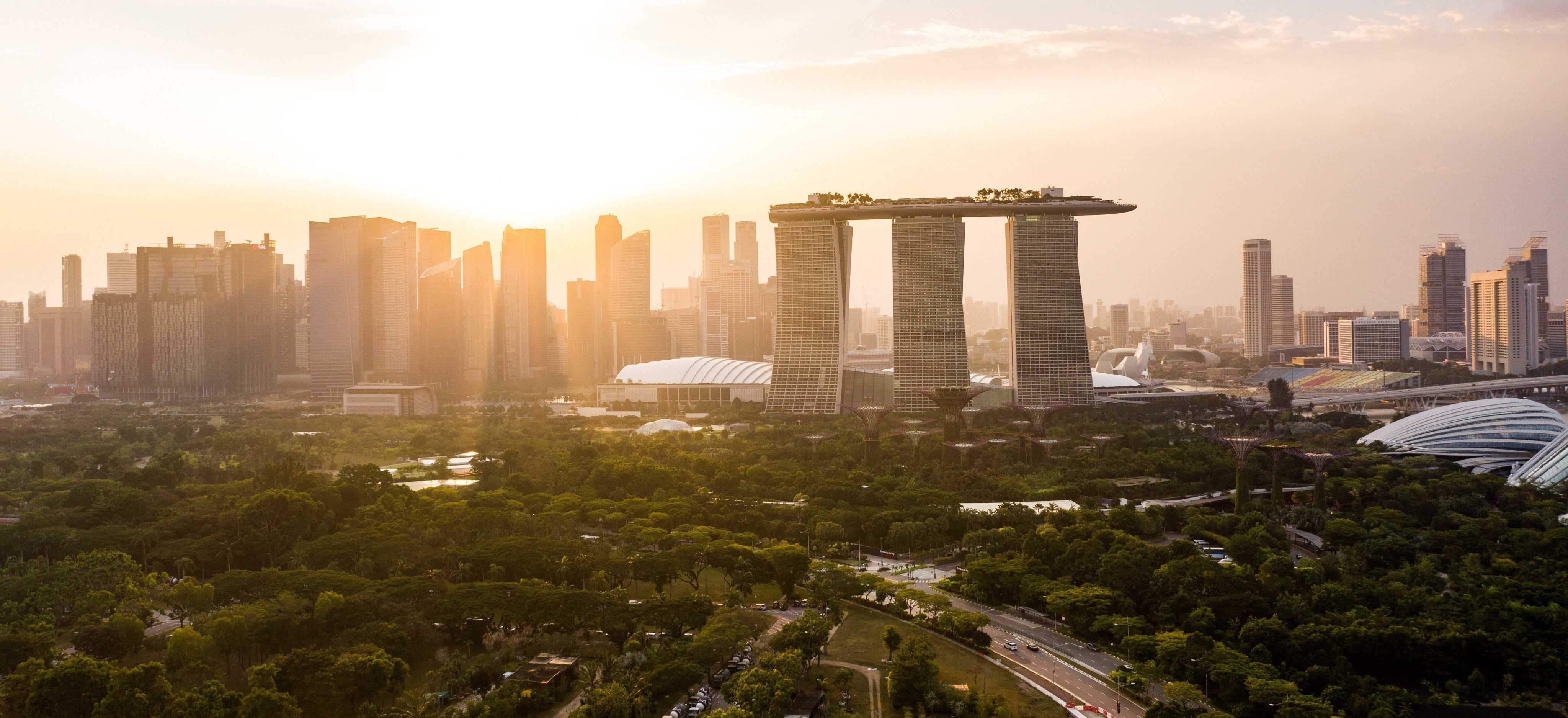 A Glimpse Into Our Road Ahead