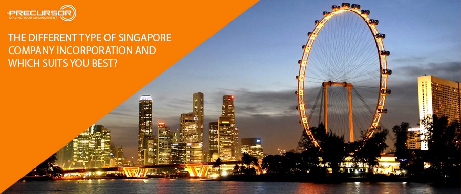 The different type of Singapore Company incorporation and which suits you best?