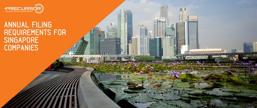 Annual Filing requirements for Singapore Companies